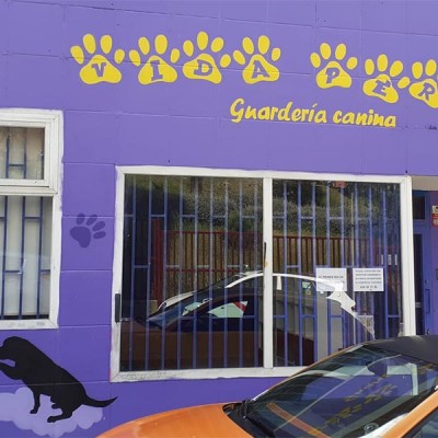 Guardería canina Lupa Chan